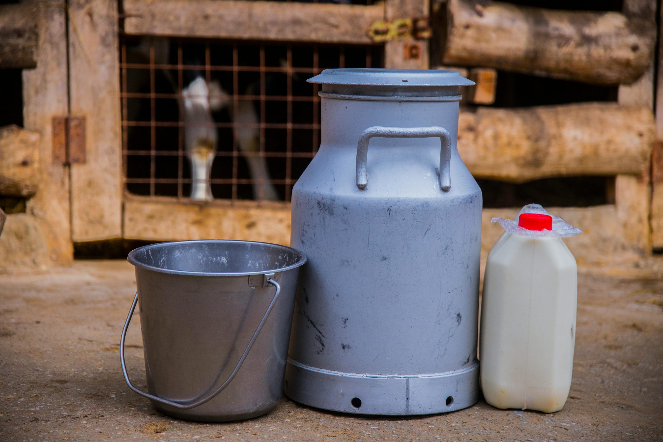 Master Fishing and Dairy